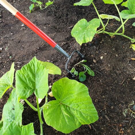 MERMIER Grattoir de jardin  Emmanché/sans manche: Sans manche - Largeur de lame (cm): 14