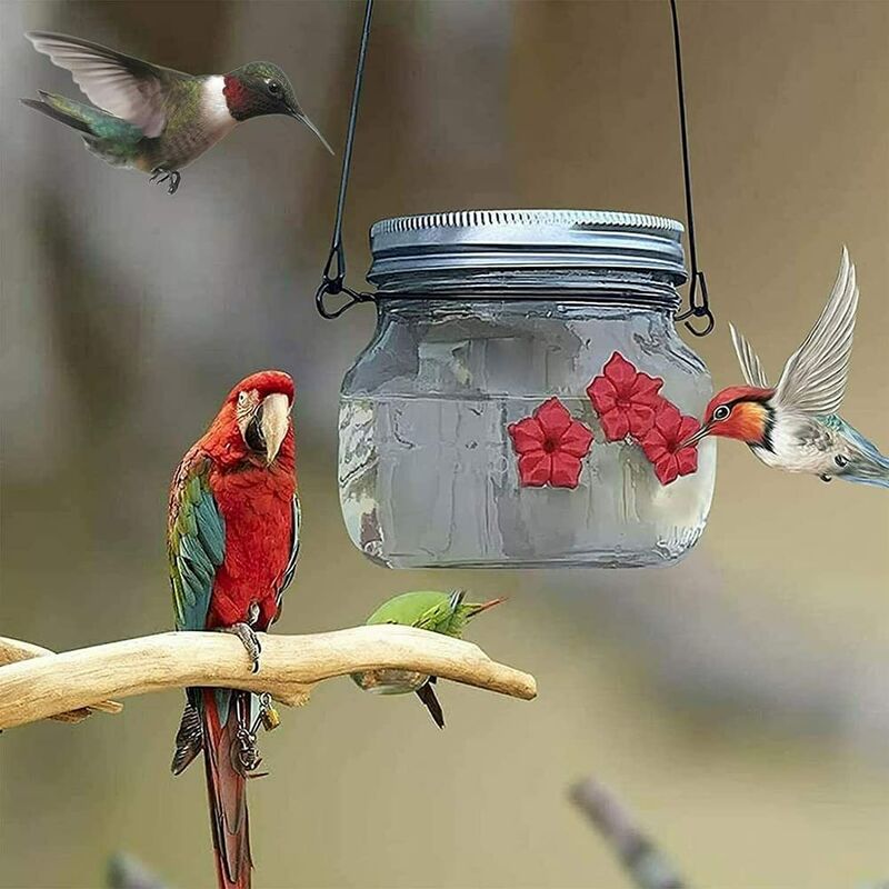 Mangeoire extérieure en plastique pour oiseaux avec crochet en fer  Bouteille d'eau d'oiseau en plastique suspendue Colibri Mangeoire Jardin