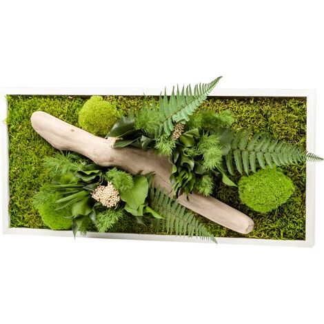 Tableau végétal stabilisé nature Rectangle 27 x 58 cm blanc - Blanc (cadre)