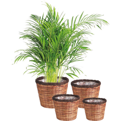 Cache-pots ronds en jacinthe (lot de 4)
