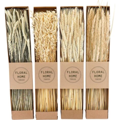 Lot De Fleurs Séchées Naturelles Cleminsta - Pour DIY, Résine Époxy, Scrapbooking, Cartes Et Décoration