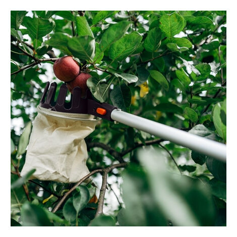 Pour fruits tels que les pommes les noix ou les objets sphériques UPP Collecteur de fruits avec manche télescopique en aluminium 68-110 cm 