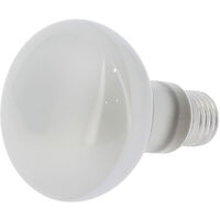 Ampoule à incandescence E27 60W – 220/240 Volts – Pour machine à pop-corn professionnelle – Lumière chaude – Gt Catering