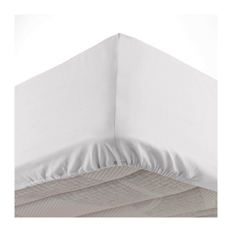 Aisbo Drap Housse 140x190 Bonnet 30 cm - Drap Housse 140 x 190 Grand Bonnet  Matelas Épais 2 Personnes, Microfibre Brossée Protège Matelas, Blanc