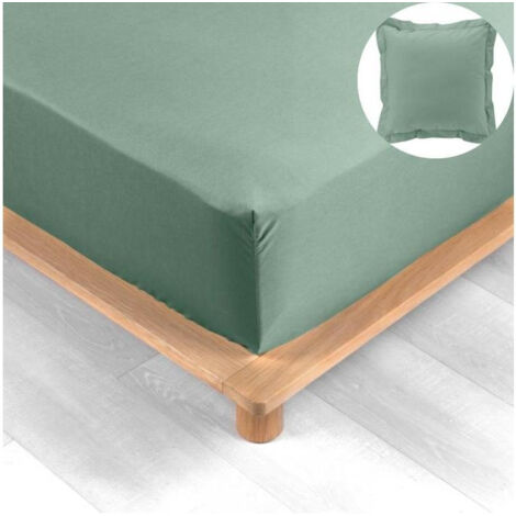 Pack drap housse king size 180 x 200 cm + 2 taies en percale 78 fils Tilleul (1/5)