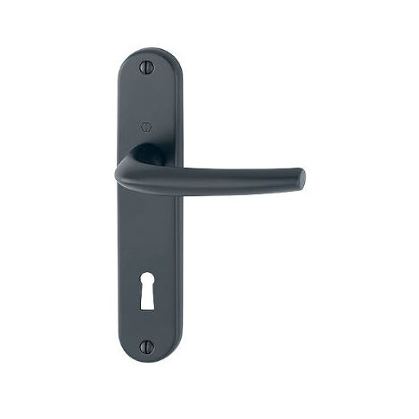 Ensemble de porte San Diego HOPPE - Entraxe 165 mm