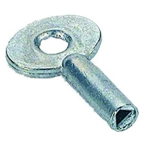 Vorhängeschloss-Schlüssel 5 mm THIRARD - Dreieckig - 010000