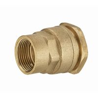 Messingfitting für Polyethylenrohr weiblich F3/4' (20x27) NOYON & THIEBAULT - Ø 25 mm - 1730-2520L1