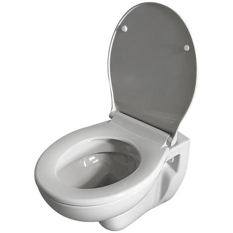 Belvit Hänge WC Grau mit Softclose-Deckel