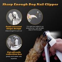 Coupe-ongles et broyeur d'ongles pour chiens avec lumière LED, coupe-ongles électriques rechargeables pour chiens avec collecteur d'ongles pour petits chiens et chats de grande taille