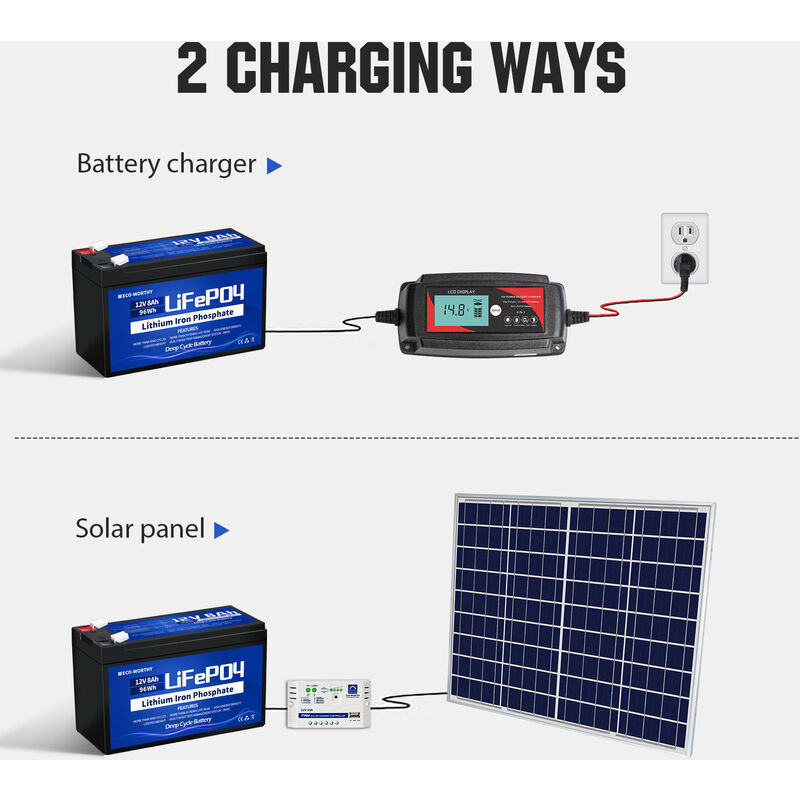 ECO-WORTHY Batteria al litio ricaricabile 12V 50Ah LiFePO4 con ciclo  profondo 3000 volte e protezione