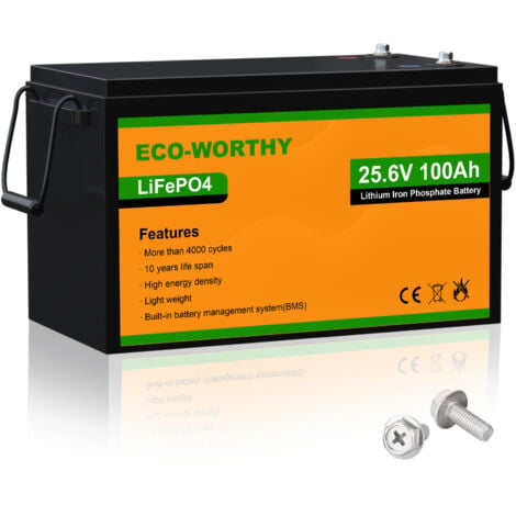 ECO-WORTHY 24 V 100 Ah LiFePO4 Batteria al litio ricaricabile con oltre  3000 cicli profondi