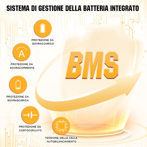 ECO-WORTHY Batteria al litio LiFePO4 ricaricabile 12V 20Ah con ciclo  profondo 3000 volte e protezione