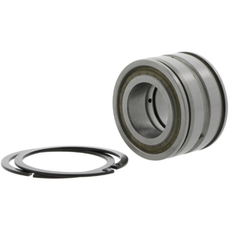 Zylinderrollenlager SL045016 -D ID 80mm AD 125mm Breite60mm INA (1/2)