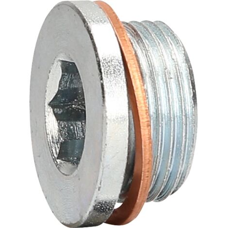 KS Tools 430.0602 Ölablassschraube M22 x 1,5 x 13 mm für Renault (1/4)