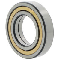 Spann-Gehäuseeinheit TUJ55 TF 55mm SKF