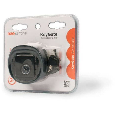 Scs Sentinel – Sélecteur à clé filaire noir IP44 – Pour systèmes 12V/24V – 2 clés fournies – Contacteur antivandalisme pour portails (1/6)
