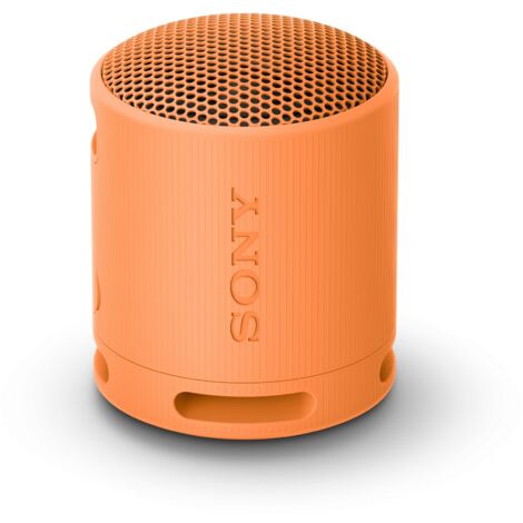 Enceinte Bluetooth portable Sony SRS-XB100D.CE7 jaune IP67 16h radiateur passif USB-C (1/5)