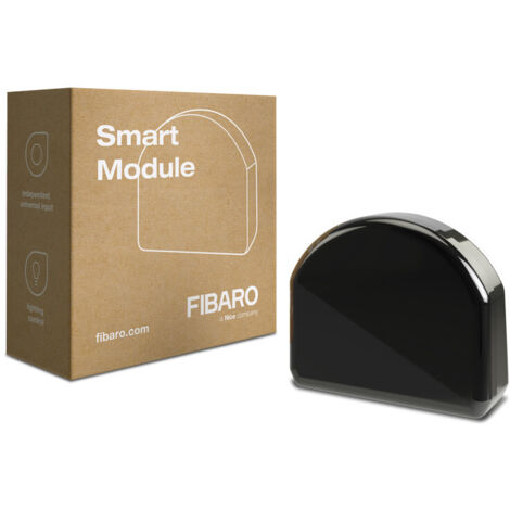 FIBARO FGS-214 Micromodule, noir (1/4)