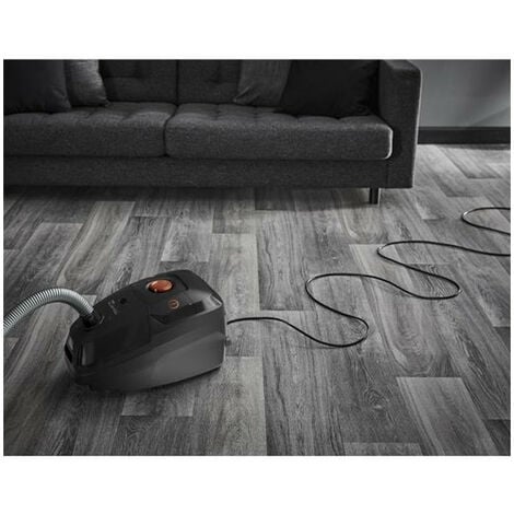 Aspirateur traineau discount avec sac rowenta