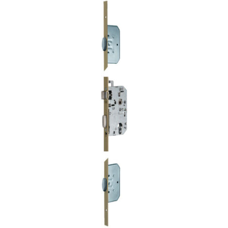 Vachette – Serrure à larder TRILOCK 3 points A2P* avec pênes dormants oblongs – Entraxe 70mm – Têtière 2040 x 18mm – 18011000