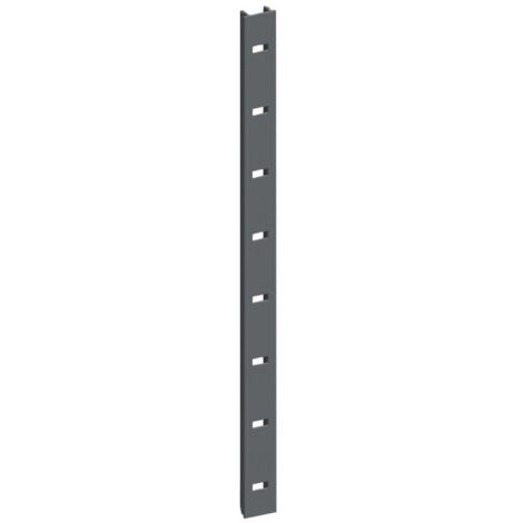 Crémaillère en applique argent 2000x11mm MONIN 522410