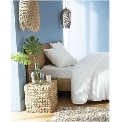 ABEIL Lot de 2 Oreillers FluffyDream 60 x 60 cm