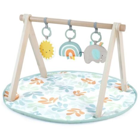 ITY de INGENUITY Sun Valley tapis d'éveil avec arche de jeu en bois, 3 jouets amovibles, pliable, des la naissance (1/5)