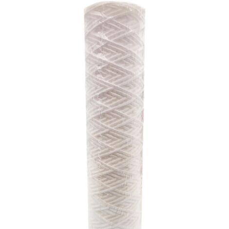 Cartouche Filtrante 4 En 1 BWT - 25 Microns - 10 Pouces - 9