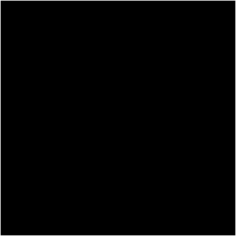 RIPOLIN Peinture Couleur Velours pour Murs, Boiseries Radiateurs - Noir