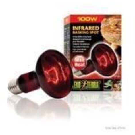 EXO TERRA Lampe infrarouge Baskin Spot - 100 W - Pour terrarium