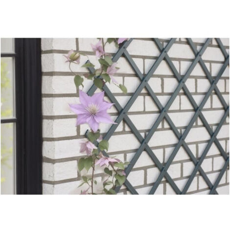 Treillis extensible - NATURE - En plastique Anthracite - 50 x 150 cm