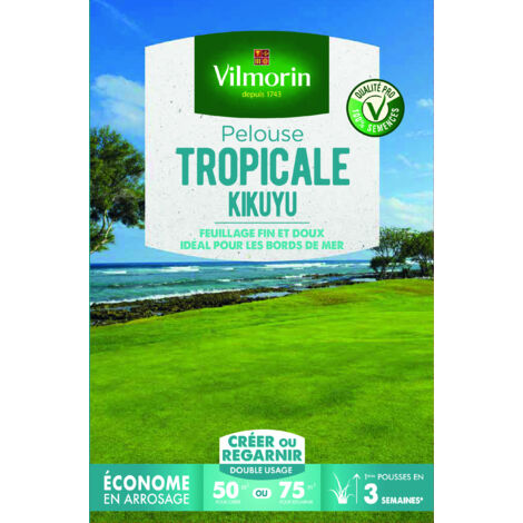 Semences de gazon Kikuyu 500 g – Croissance rapide pour climat chaud – Résistant à la sécheresse et aux piétinements fréquents – Vilmorin