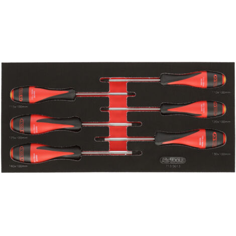 KS Tools - Module de tournevis ULTIMATE TORX®, 6 pièces - 713.5013 (1/2)