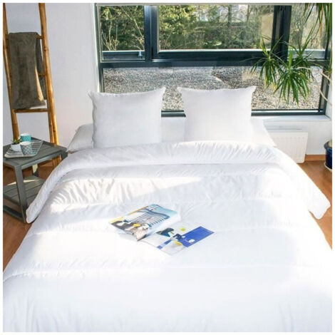 Promo Couette Chaude Anti-acariens Peg chez Auchan