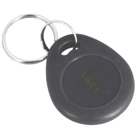 Badge proximité XPR PCBEM 125 KHz EM Marin Gris foncé Porte-clés (1/2)
