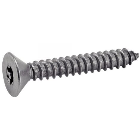 Vis à tôle Acton 3,5x19 mm Inox A2 tête fraisée Torx téton inviolable boîte 100 (1/3)