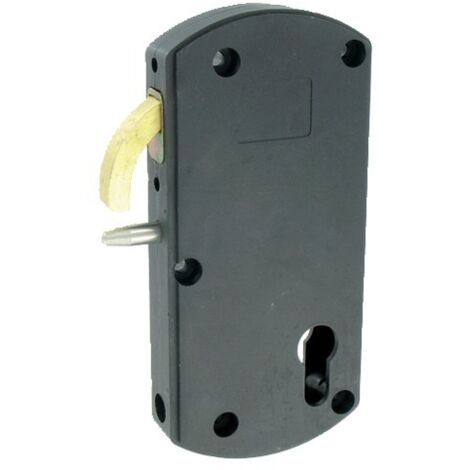 Serrure à mentonnet Modulox noire pour portail coulissant motorisé - TIRARD - GB592005 (1/2)
