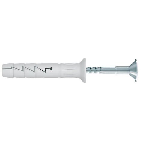 Cheville vis nylon RAWL FX-N 8 x 120 mm PZ2 blanche 50 pièces (1/4)