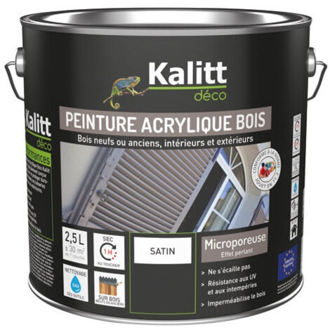 PEINTURE ACRYL BOIS SATIN 2.5L VERT BA KALITT DECO - 762725 (1/2)