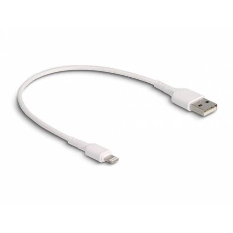 Delock Câble de charge USB USB 2.0 Connecteur Lightning , USB-A mâle 0.30 m blanc 87866 Y405303 (1/3)