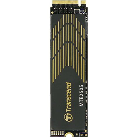 Transcend SSD MTE250S NVMe 1TB, inkl. Kühlkörper (1/3)
