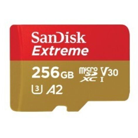SANDISK Carte MicroSD Extreme 256 Go