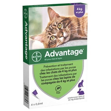 ADVANTAGE 80 - 4 pipettes antiparasitaires - Pour chat et lapin de 4kg et plus