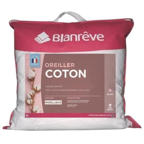 BLANREVE Lot de 2 Oreillers en coton - 60 x 60 cm - Blanc (1/6)