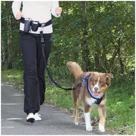 TRIXIE Ceinture ventrale avec laisse pour chien
