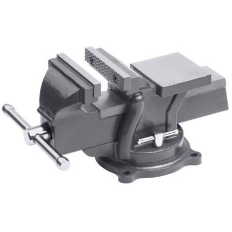 MEISTER Etau base tournable 100 mm (1/2)