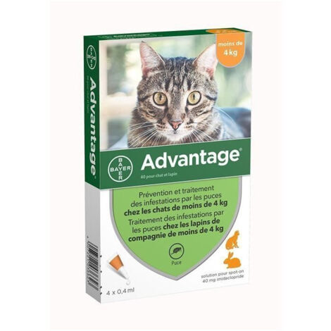 ADVANTAGE 40 - 4 pipettes antiparasitaires - Pour chat et lapin de moins de 4kg