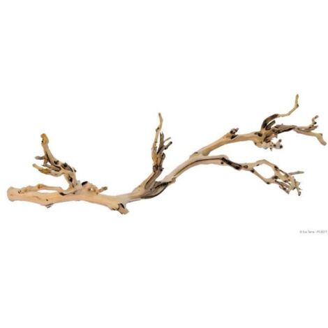 EXO TERRA Decoration Pied de vigne sable - Grand modele - Pour terrarium