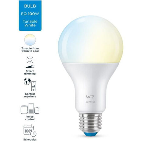 WiZ Ampoule à Filament Connectée Globe - Lumière Blanche Chaude à